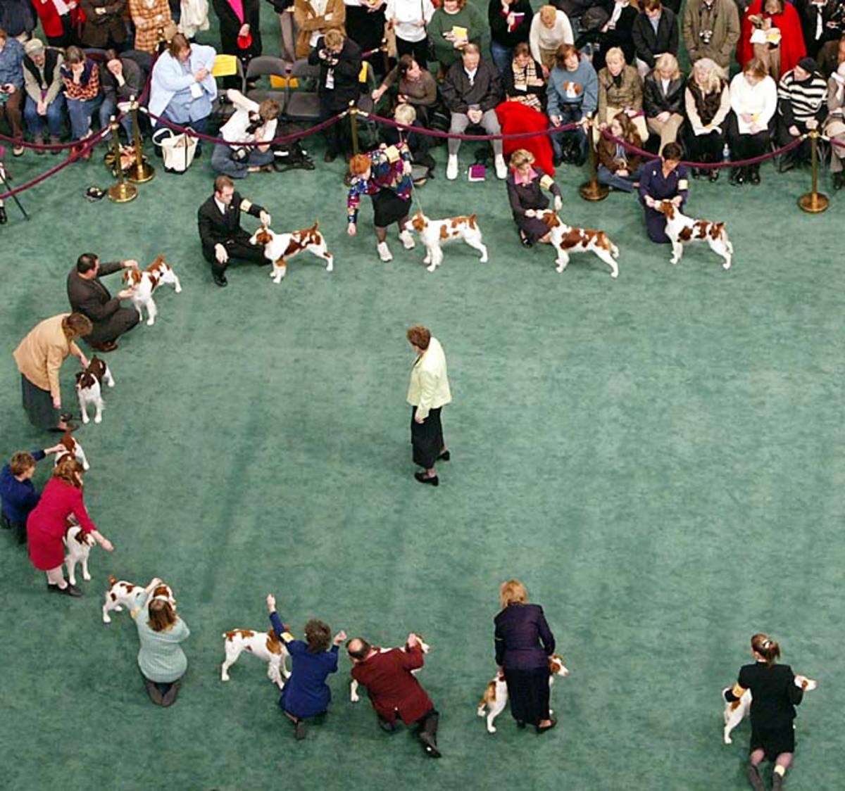 2005_WESTMINS(3).jpg